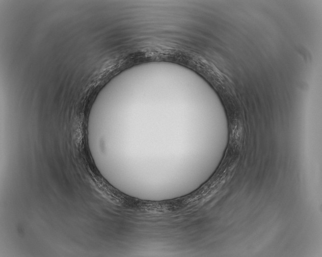 X0000112501012200908311447