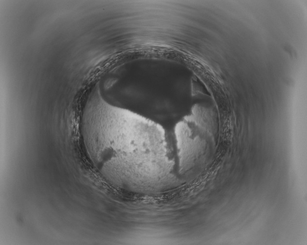 X0000112501013200908311447