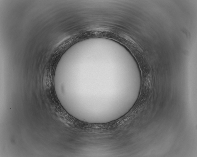 X0000112501014200908311447