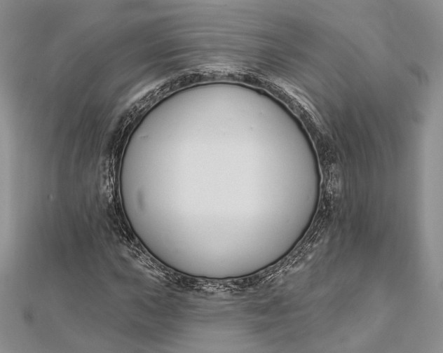 X0000112501015200908311447