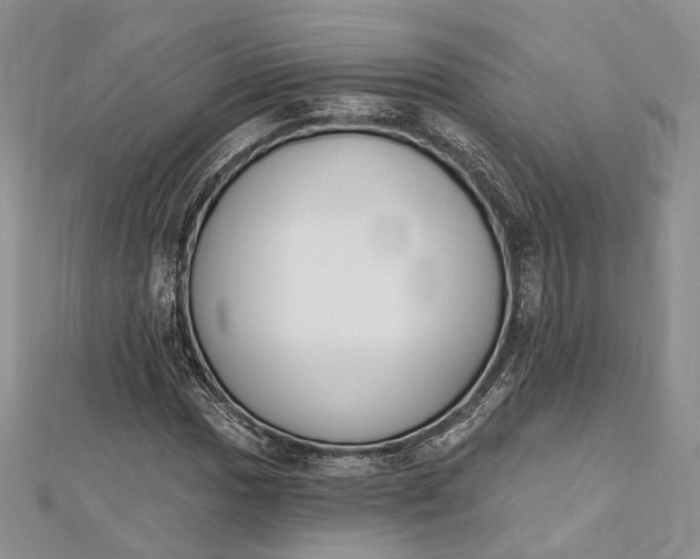 X0000112501017200908311447