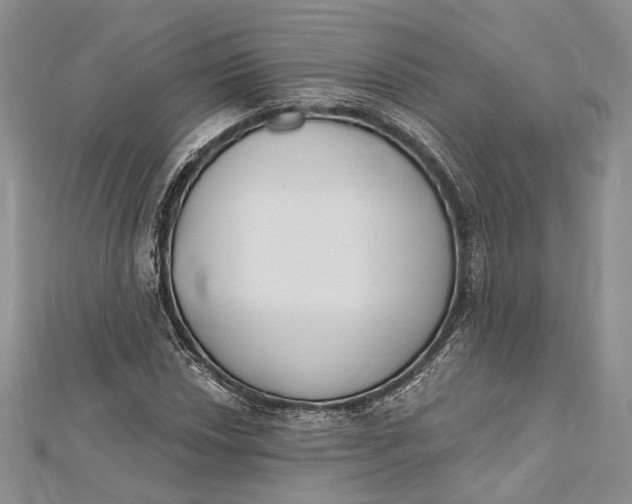 X0000112501018200908311447