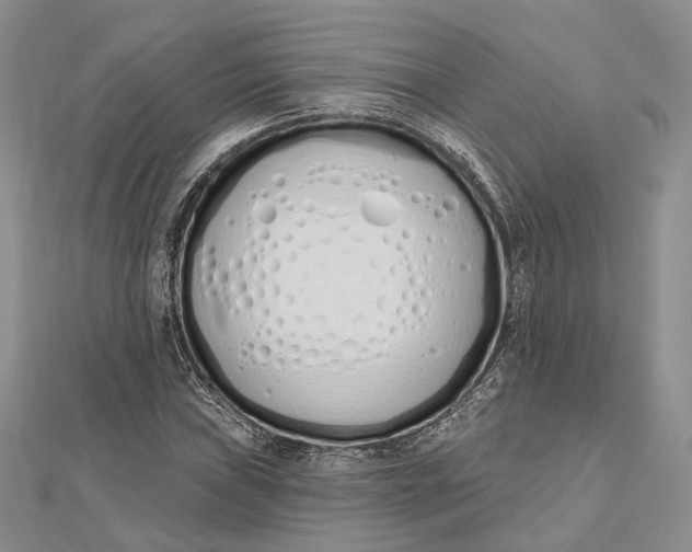 X0000112501019200908311447