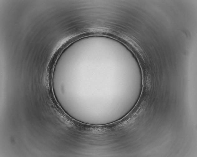 X0000112501022200908311447