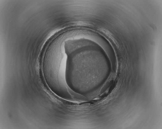 X0000112501024200908311448