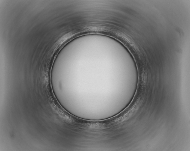 X0000112501025200908311448