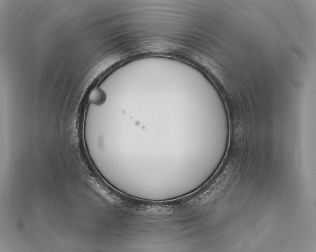 X0000112501026200908311448