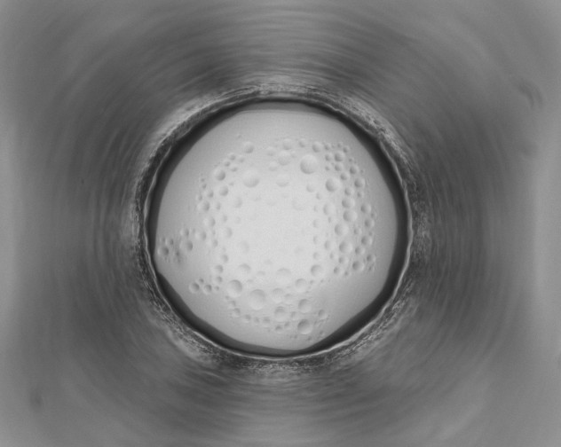 X0000112501027200908311448