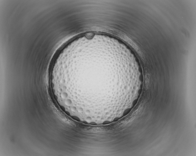 X0000112501028200908311448