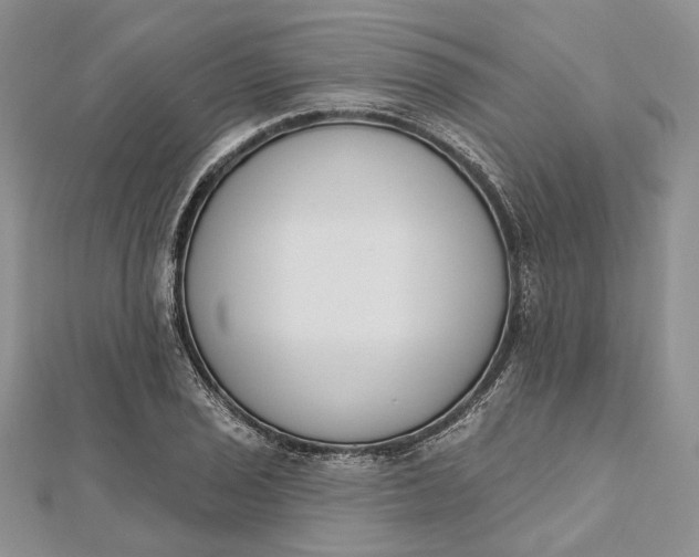 X0000112501029200908311448