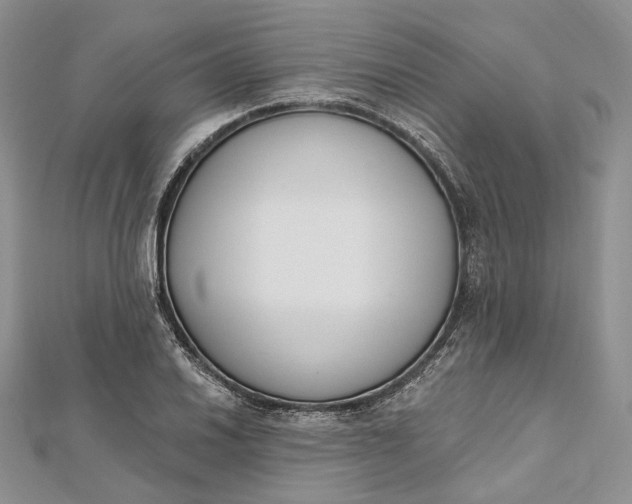 X0000112501030200908311448