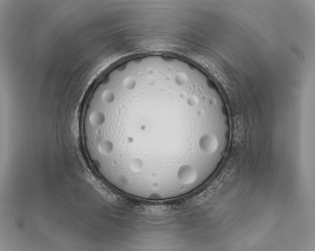 X0000112501031200908311448