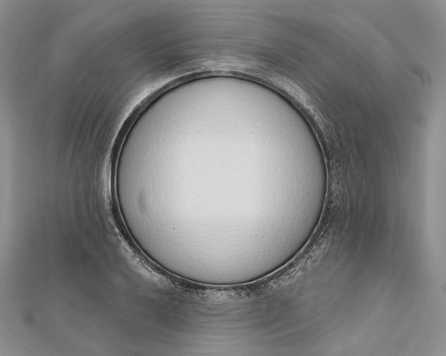 X0000112501032200908311448