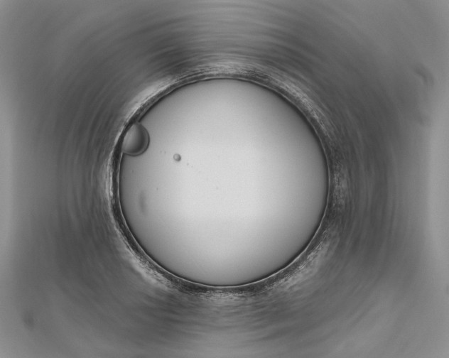 X0000112501034200908311448