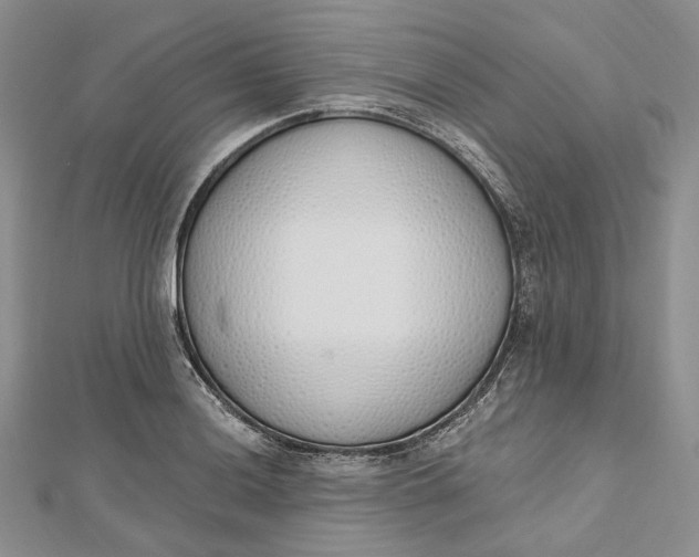 X0000112501036200908311448