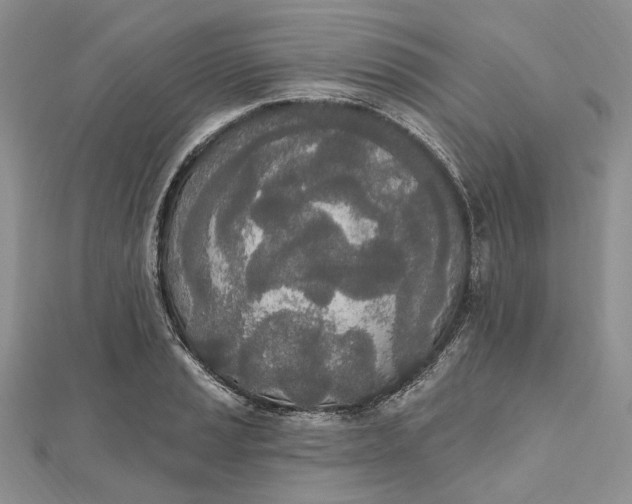 X0000112501037200908311448