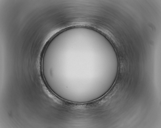 X0000112501038200908311448