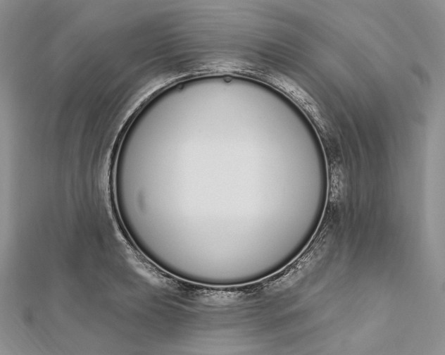 X0000112501039200908311448