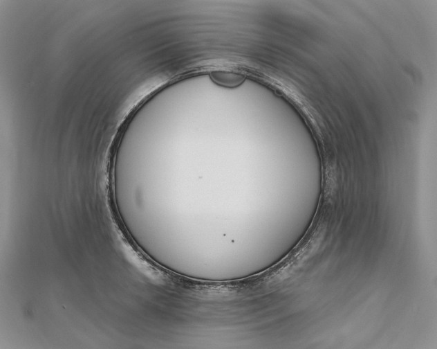 X0000112501042200908311448