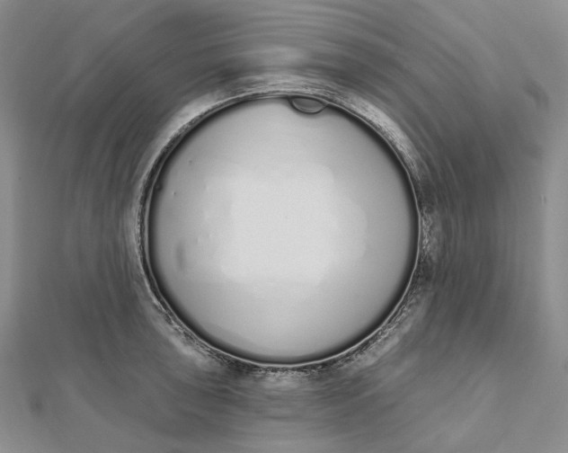 X0000112501043200908311448