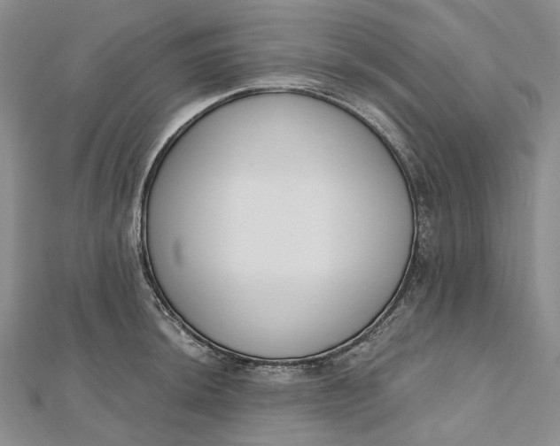 X0000112501044200908311448