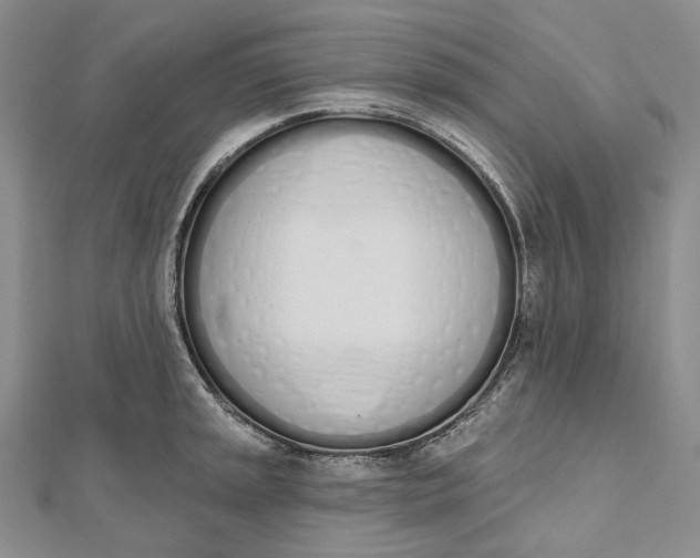 X0000112501045200908311448