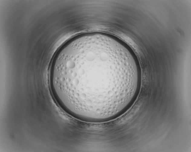 X0000112501047200908311448