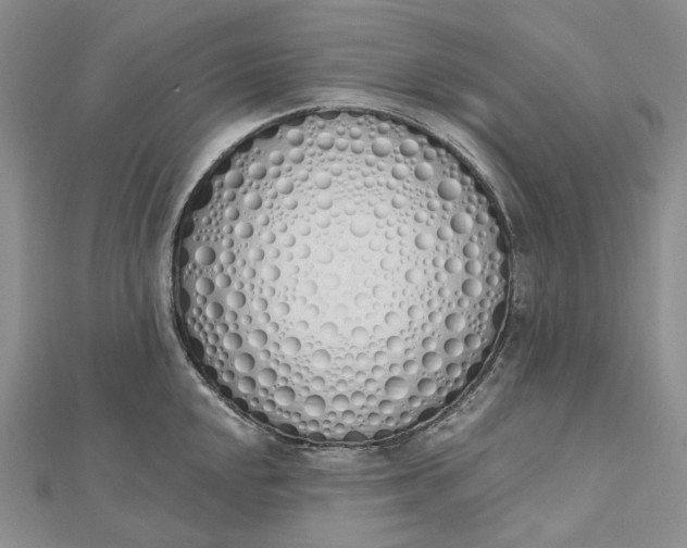 X0000112501048200908311448