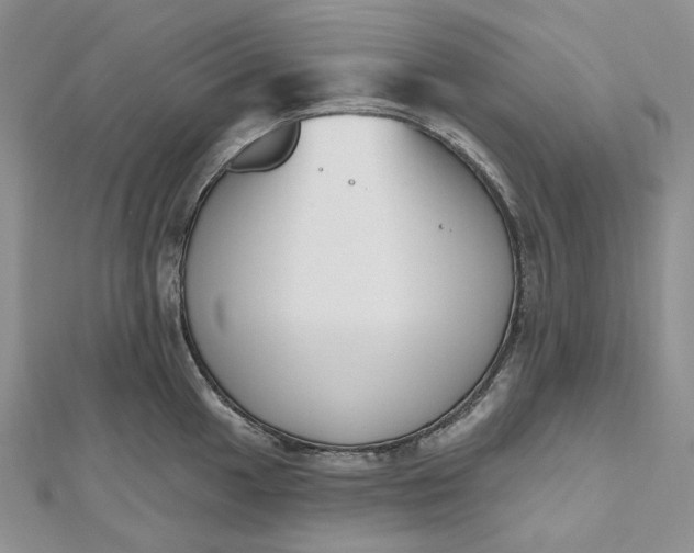 X0000112501049200908311448