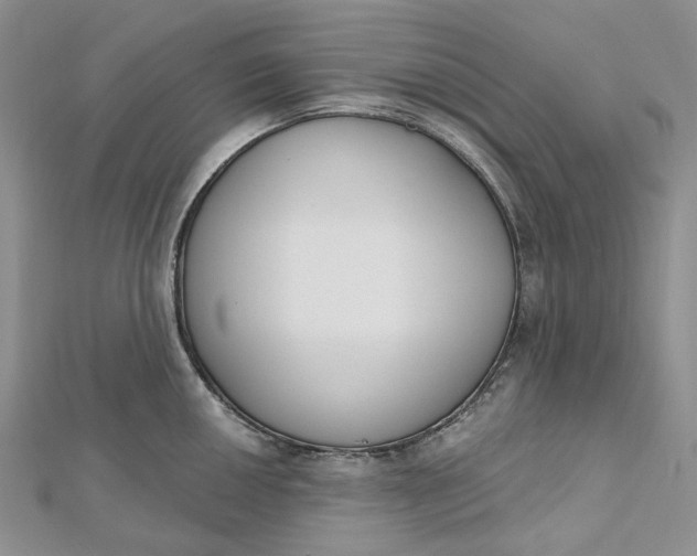 X0000112501050200908311448