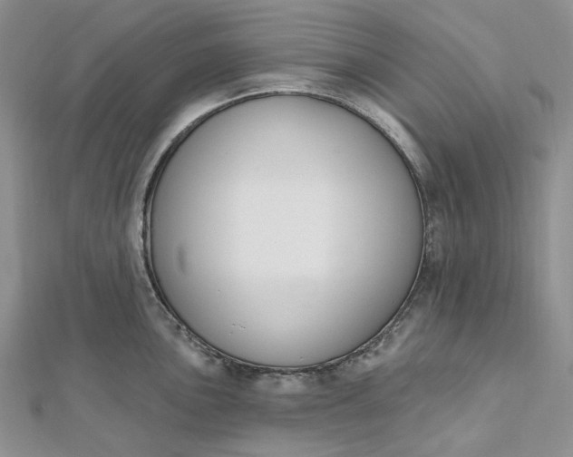 X0000112501051200908311448