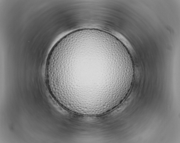 X0000112501052200908311448