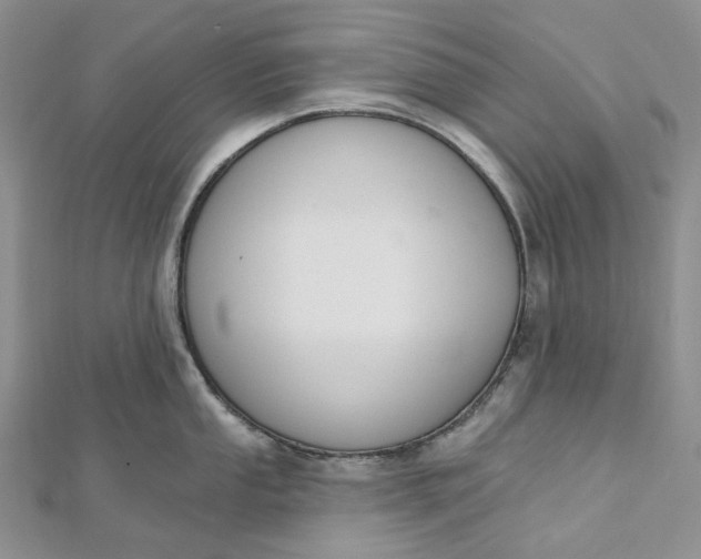 X0000112501053200908311448