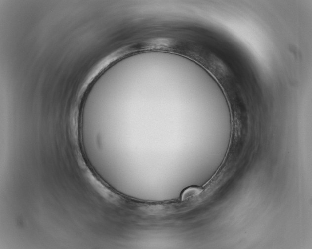 X0000112501054200908311448