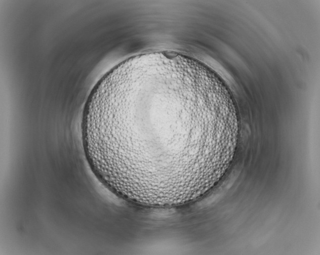 X0000112501055200908311448