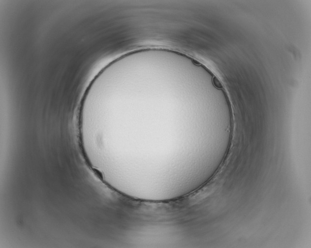 X0000112501056200908311448