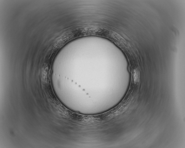 X0000112501059200908311447