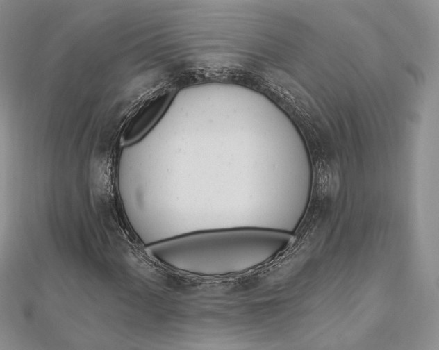 X0000112501060200908311447