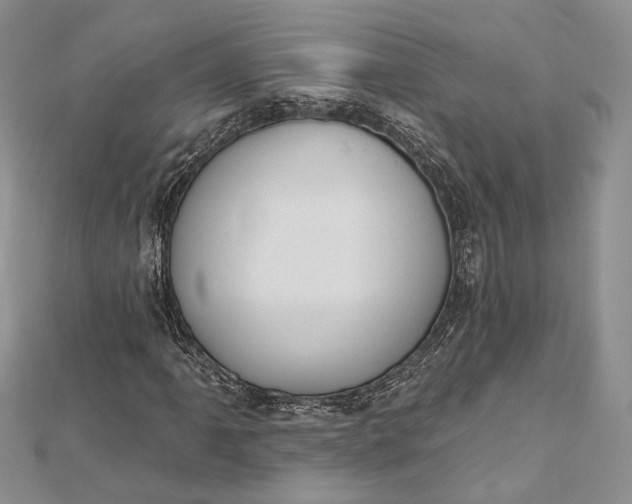 X0000112501061200908311447