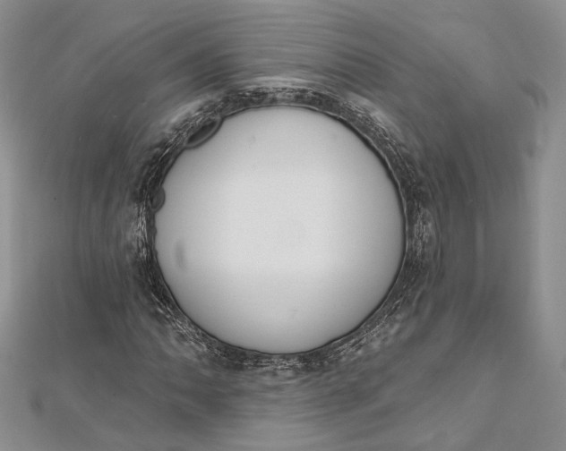 X0000112501062200908311447