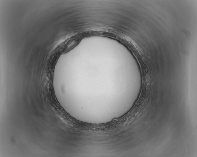 X0000112501064200908311447