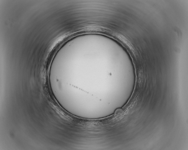 X0000112501067200908311447