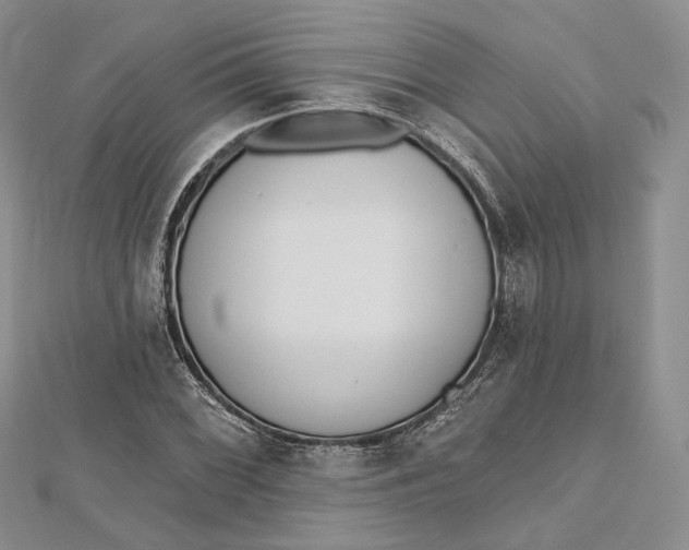 X0000112501068200908311447