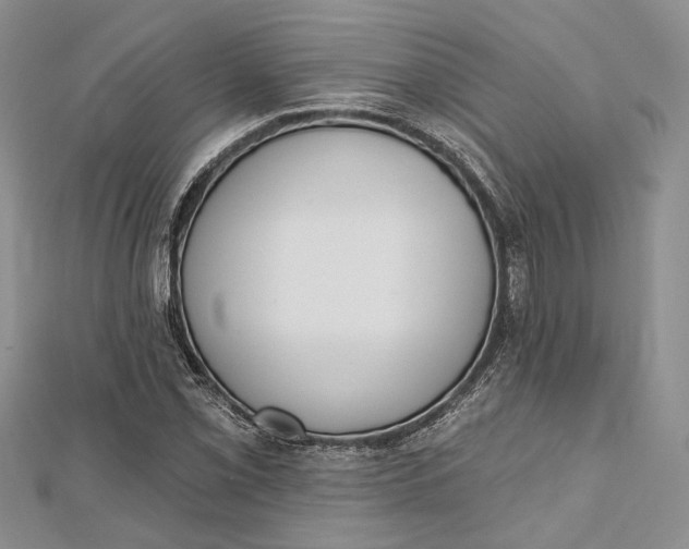 X0000112501069200908311447