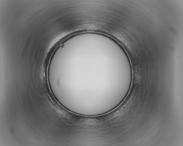 X0000112501070200908311447