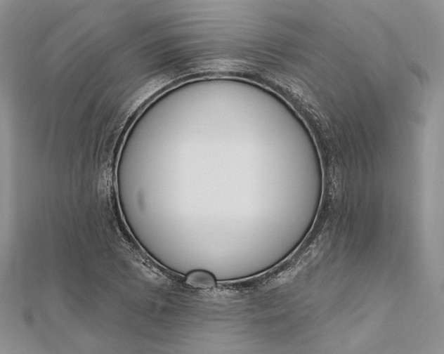 X0000112501073200908311447