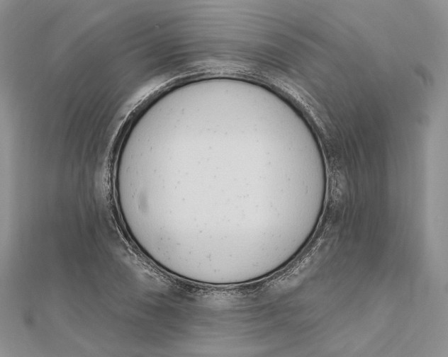 X0000112501074200908311447