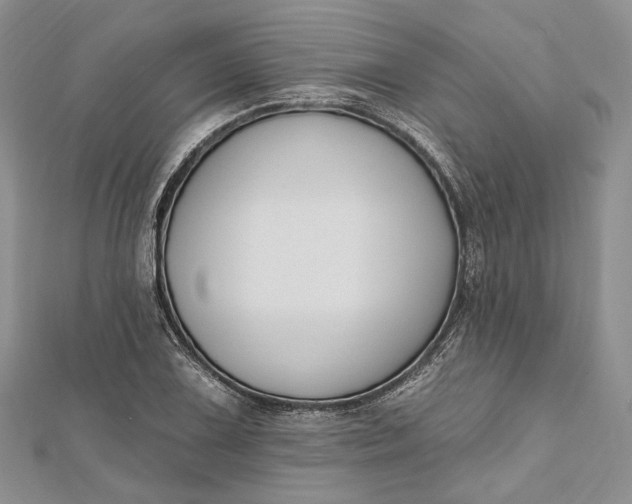 X0000112501075200908311447