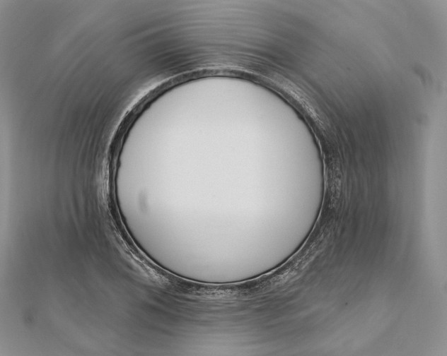 X0000112501076200908311447