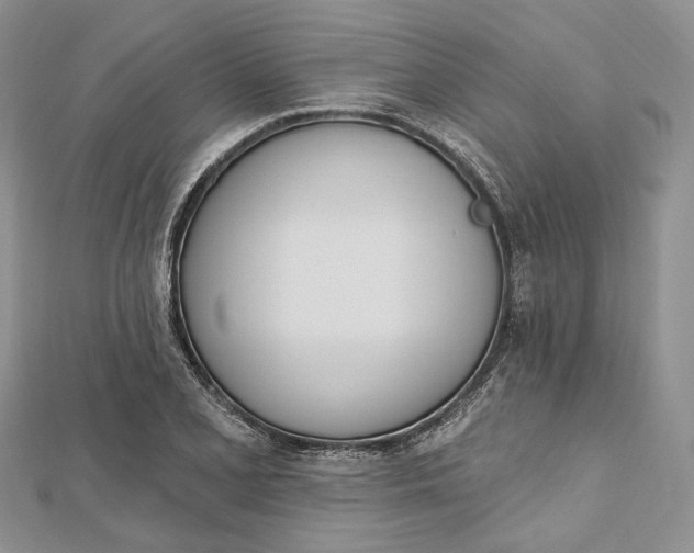 X0000112501077200908311447